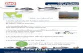 the Organic Seabass and the Seabream from the Gulf of Corinth · Seafood Gastronomy from the Gulf of Corinth OSO® the Organic Seabass and the Seabream Galaxidi bay OSO®, exceptional