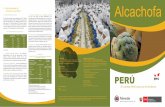 Alcachofa - GobZonas de producción: Cajamarca, La Libertad, Ancash, Junín, Huancavelica, Lima, Ayacucho e Ica. 3. Gran Preferencia de la Alcachofa en el Mundo: Hoy en día, el mercado