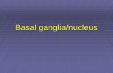 Basal ganglia/nucleus - JU Medicine · Function of the basal ganglia. Direct = Dark grey –Red –Blue –Light grey Indirect = Dark grey –Green –Blue –Light grey Text Fig.