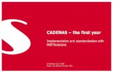 CADENAS the first year...• maximal process costs • worst case: • minimal avoidance of duplicates • minimal process costs
