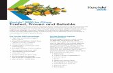 Kocide 2000 for Citrus: Trusted, Proven and Reliable · Kocide® 2000 for Citrus: Trusted, Proven and Reliable Kocide 2000 has been grower approved year after year. For over 50 years