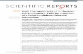 High Thermal Gradient in Thermo-electrochemical Cells by … · SCIENTIFIC REPORTS 62328 DI 10.1038srep2328 1 High Thermal Gradient in Thermo-electrochemical Cells by Insertion of