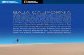 BAJA CALIFORNIA...BAJA CALIFORNIA virtually undiscovered, hiding in plain sight, with endless miles of wild coastline, seas alive with whales, and tiny pristine islands dotting the