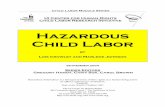 Hazardous Child Labor · 2018-06-05 · Child Labor Module Series UI Center for Human Rights Child Labor Research Initiative Hazardous Child Labor by Lois Crowley and Marlene Johnson