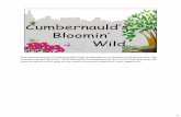 Bloomin Wild - Keep Scotland Beautiful · 2017-11-28 · Cumbernauld’s Bloomin’ Wild The partnership of Cumbernauld Living landscape co-ordinates local groups for the umbernauld’s