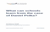 What can schools learn from the case of Daniel Pelka?...What can schools learn from the case of Daniel Pelka? Andrew Hall Specialist Safeguarding Consultant 01223 929269 Success In