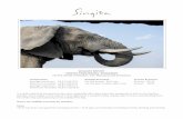 WILDLIFE REPORT SINGITA PAMUSHANA, ZIMBABWE For the … · 2017-11-03 · but always listening out for any danger. Hyenas The clans have been seen patrolling all corners of the ...