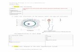 Blog resource:  - biology4friends - Home · Web viewLabel the structures of the mature sperm and egg and calculate the magnification of each image.