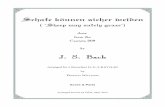 Schafe können sicher weiden - Sheet music€¦ · The dynamics are largely editorial. although they incorporate Bach's alternations of piano and forte in the recorder parts. The