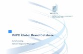 WIPO Global Brand Database · 2018-02-02 · Global Brand Database ... No Verbal Elements cy Caring You Health Concept KIDMAN Chinese Characters No Verbal Elements TAN CHOON YIN (NRIC