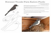 Downeast Thunder Farm Eastern Phoebe · 2016-03-13 · Downeast Thunder Farm Eastern Phoebe Copyright 2014 Downeast Thunder Farm Follow these instructions to create two mirror images