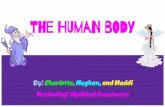The HUmaN bODyleviner7481.weebly.com/uploads/8/5/8/1/85819272/structure_of_livin… · The left side of the human brain controls the right side of the body and the right side controls