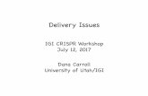 Delivery - Innovative Genomics Institute (IGI) · IGI CRISPR Workshop July 12, 2017. Cas9 Donor DNA sgRNA How do we get these ... Manual injection Delivery to cultured cells Nanoparticles.