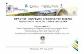 IMPACT OF GRAPEVINE BREEDING FOR DISEASE RESISTANCE IN …gbg2018.u-bordeaux.fr/.../presentation/O3_Bavaresco_ed.pdf · 2018-09-06 · IMPACT OF GRAPEVINE BREEDING FOR DISEASE RESISTANCE