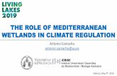 THE ROLE OF MEDITERRANEAN WETLANDS IN CLIMATE … · 2019-06-23 · The project CLIMAWET, funded by: aims to evaluate the potential role of the main Mediterranean Iberian lakes and