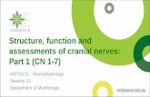 Structure, function and assessments of cranial nerves ... · Cranial Nerves • Exchange information between the peripheral nervous system (PNS) and the central nervous system (CNS).