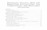 mncipdata.blob.core.windows.net · Web viewMinnesota Utility 2018 CIP Reporting Instructions for Cooperatives and Municipal Utilities. Contents. Getting Started3. Launching ESPReporting3.