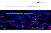 MOLECULAR PATHOLOGY...FISH DNA/PNA プローブミックス MOLECULAR PATHOLOGY 固形腫瘍研究のために 研究用試薬 非小細胞肺癌でのEGFR 遺伝子の高度遺伝子増幅