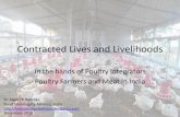 Contracted Lives and Livelihoods€¦ · Contracted Lives and Livelihoods In the hands of Poultry Integrators Poultry Farmers and Meat in India Dr Sagari R Ramdas Food Sovereignty