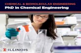 CHEMICAL & BIOMOLECULAR ENGINEERING PhD in Chemical ...offers several programs, including the Sloan Scholars program for doctoral students, which provides mentoring and professional