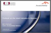 Outlook on the steel industry in Mexicostructural products from mills in US, Canada, Brazil, and Europe Steel mill/mines Distribution center Sales office Lázaro Cárdenas, Michoacán