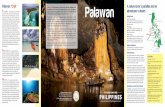 Palawan CAN Palawan A nature lover s paradise and an · 2019-08-09 · A nature lover’s paradise and an adventurer’s dream Palawan ‘CAN’ C ULTURE. The island province of Palawan