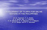 DEVELOPMENT OF TILAPIA FOR SALINE WATERS …...Table 1. Mean gain in weight at harvest across test stations of 27 cross combinations Mean weight across environments 82.06g YY 89.950