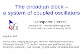 The circadian clock a system of coupled oscillators · 2019-09-05 · The circadian clock – a system of coupled oscillators Hanspeter Herzel Institute for Theoretical Biology (ITB)