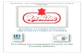 Providing Environmental Security to the Tanning Industry · 2019-05-15 · RANIPET TANNERY EFFLUENT TREATMENT COMPANY LIMITED (RANITEC CETP) Location of the CETP Concept of Common