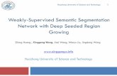 Weakly-Supervised Semantic Segmentation Network with Deep …ice.dlut.edu.cn/valse2018/ppt/2018ValseXGWangDsrg.pdf · 2019-04-03 · Weakly-Supervised Semantic Segmentation Network