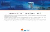 IADC WELLSHARP DRILLING - Well Control School...The IADC WellSharp™ Drilling courses provide the latest recognized well control training standards through industry collaboration
