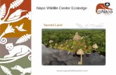 Napo Wildlife Center Ecolodge · 2019-05-13 · Ecolodge, we place all our efforts at granting you an unforgettable jungle experience, far from the troubles of modern-day life, where