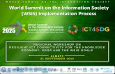 World Summit on the Information Society (WSIS ... Summit...development and programming of future UNDAFs • Regional review of the WSIS action lines implementation in accordance with