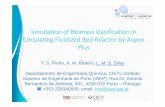 Simulation of Biomass Gasification in Circulating …Simulation of Biomass Gasification in Circulating Fluidized Bed Reactor by Aspen Plus 09/02/2013 1 T. S. Pinho, A. M. Ribeiro,