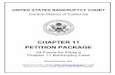 CHAPTER 11 PETITION PACKAGE - United States Courts...This Chapter 11 Petition Package includes the basic information and forms required to file a voluntary chapter 11 bankruptcy case