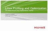 Linux Profiling and Optimization€¦ · Linux Profiling and Optimization The Black Art of Linux Performance Tuning Federico Lucifredi Platform Orchestra Director Novell, INC