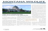 MONTANA WILDLIFEmontanawildlife.org/wp-content/uploads/2015/01/MWF... · to Montanans, every session sees a range of bills focused on wildlife management. In addition, there are always