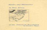NEW JERSEY GEOLOGICAL SURVEYNEW JERSEY GEOLOGICAL SURVEY. In many instances, only the fact that a raid occurred is on ... action was completed. If an event began on the evening of