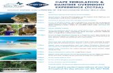 CAPE TRIBULATION & DAINTREE OVERNIGHT EXPERIENCE … · 2015-03-18 · Cape Tribulation Wildlife Habitat Cape Tribulation Beach Daintree River Cruise Lumholtz’s Tree Kangaroo Captain