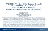 PROMESA: The Good, the Bad and the Ugly How PROMESA … The Good ....pdfPROMESA: The Good, the Bad and the Ugly How PROMESA Should Work! How PROMESA Is Working! How Financial Recovery