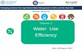 Theme 2 Water Use Efficiency · 2017-09-20 · DEFINITION AND BACKGROUND Theme 2: Water Use Efficiency Definition of Water Use Efficiency (WUE): the ratio between effective water