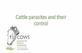 Cattle Parasites and their Control · COWS strongly advises that farmers discuss product choice with their vet or suitably qualified person (SQP) as part of their herd health plan.
