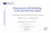 Resonance self-shielding in the epi-thermal regionindico.ictp.it/event/a04183/session/56/contribution/32/... · 2014-05-05 · Resonance self-shielding in the epithermal region ,