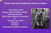 Canine Respiratory disease - Amazon S3Canine Infectious Respiratory Disease Complex \爀䌀䤀刀䐀䌀†ጀ 愀挀甀琀攀 栀椀最栀氀礀 挀漀渀琀愀最椀漀甀猀 愀昀昀攀挀琀猀