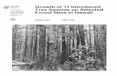 Growth of 11 Introduced REFERENCES Tree Species on Selected Forest … · 2008-01-03 · Tree Species on Selected Forest Sites in Hawaii Roger H. Imoto CONTENTS Tropical Ash 3 Silk-oak