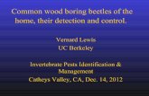 Common wood boring beetles of the home, their detection ...cemariposa.ucanr.edu/files/159020.pdf · Common wood boring beetles of the home, their detection and control. Vernard Lewis