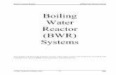 Boiling Water Reactor (BWR) SystemsReactor Concepts Manual Boiling Water Reactor Systems USNRC Technical Training Center 3-3 0400 BWR Reactor Vessel Assembly The reactor vessel assembly,