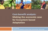 Cost-benefit analysis: for Ecosystem-based Adaptation1067656943.n159491.test.prositehosting.co.uk/wp-content... · 2016-04-28 · Rationale for CBA for EbA Ecosystems provide a variety