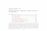 Appendix A Multilinear algebra and index notationwendl/Winter2016/DiffGeo1/... · are extremely useful in diﬀerential geometry but are essentially algebraic rather than geometric;