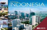 ACTIVE WITH INDONESIA - OECD · 2018-10-10 · Such engagement with Indonesia has helped to drive our work in Southeast Asia. The launch of the Southeast Asia Regional Programme in